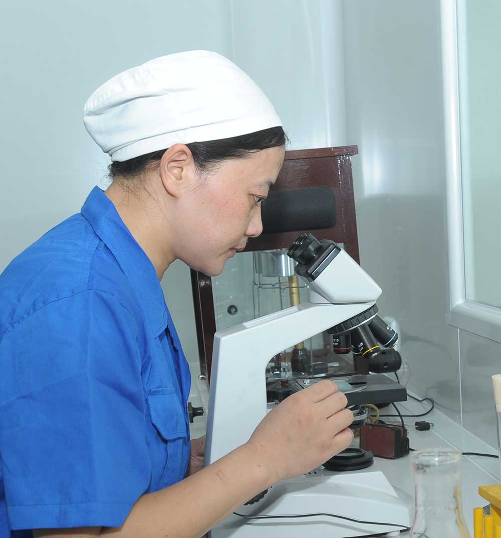 湖北奥星以质量为根